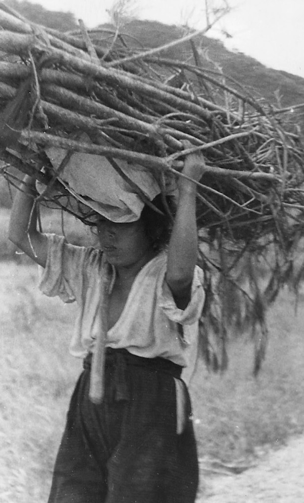 RT Kowallis Collection 1945 013